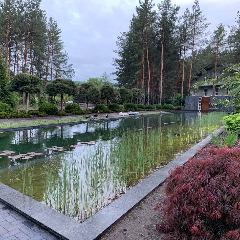 Natural swimming pond with ecosystem